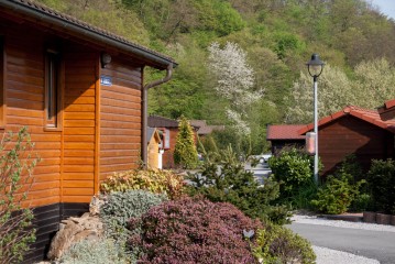 Eine Reihe von Holzhütten mit roten Dächern, umgeben von Sträuchern und Grünpflanzen, an einem bewaldeten Hang an einem hellen Tag.