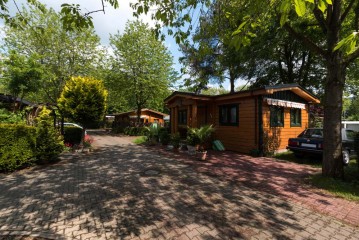 Eine kleine Holzhütte mit Topfpflanzen auf einer gepflasterten Zufahrt, umgeben von Bäumen und Grün, mit einem geparkten Auto, das teilweise auf der rechten Seite zu sehen ist.