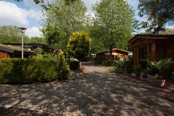 Eine gepflasterte Einfahrt, umgeben von Grünflächen und kleinen Holzhäusern unter einem teilweise bewölkten Himmel, mit Topfpflanzen und Hecken an den Rändern.