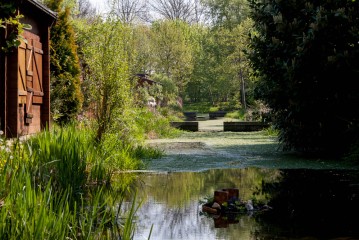 Ein schmaler Teich mit grüner Vegetation auf beiden Seiten, Holzschuppen auf der linken Seite und Bäume im Hintergrund im Sonnenlicht.