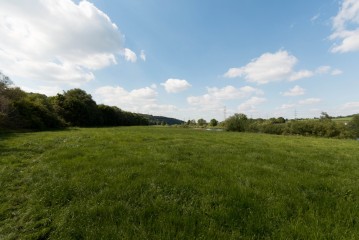 Offenes Grasfeld mit Bäumen auf der linken Seite, unter einem blauen Himmel mit vereinzelten weißen Wolken an einem sonnigen Tag.