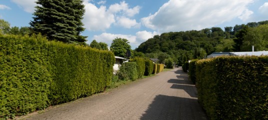 Ein gepflasterter Weg verläuft zwischen hohen, ordentlich geschnittenen Hecken mit Bäumen und Hügeln im Hintergrund unter einem teilweise bewölkten Himmel.