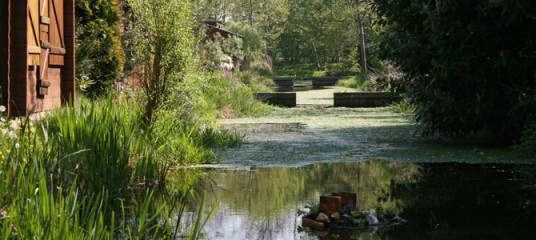 Ein von Grün und Bäumen gesäumter Teich mit einer Holzkonstruktion auf der linken Seite; kleine Holzstege überqueren das Wasser im Hintergrund.