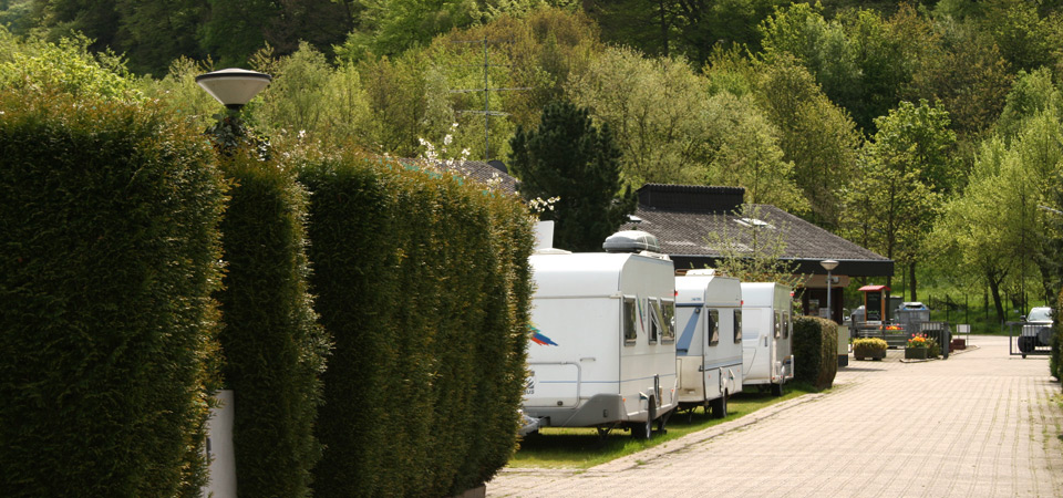 Mehrere weiße Wohnwagen sind in einer Reihe entlang eines gepflasterten Weges geparkt, der von hohen grünen Hecken gesäumt und von Bäumen und Grünpflanzen umgeben ist.