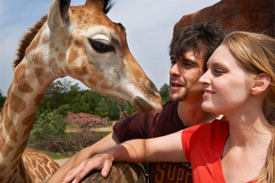 Eine Giraffe steht in der Nähe eines Mannes und einer Frau, die beide lächeln und die Hand ausstrecken, um das Tier zu berühren. Im Hintergrund sind Bäume und Felsen zu sehen.
